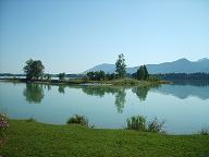 Beschreibung: D:\homepagefertig\sicherung2017\forggenseeklein.JPG